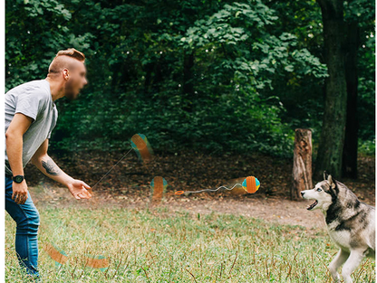 Teeth Resistant Chew Dog Training Ball