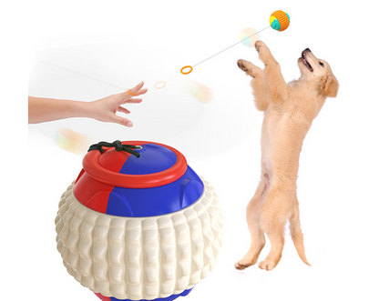 Teeth Resistant Chew Dog Training Ball