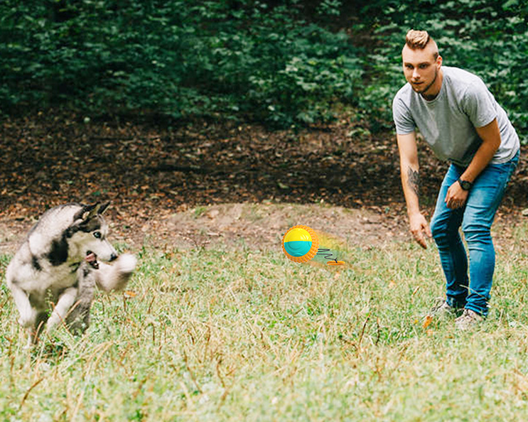 Teeth Resistant Chew Dog Training Ball