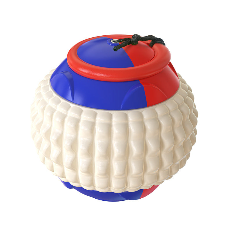 Teeth Resistant Chew Dog Training Ball