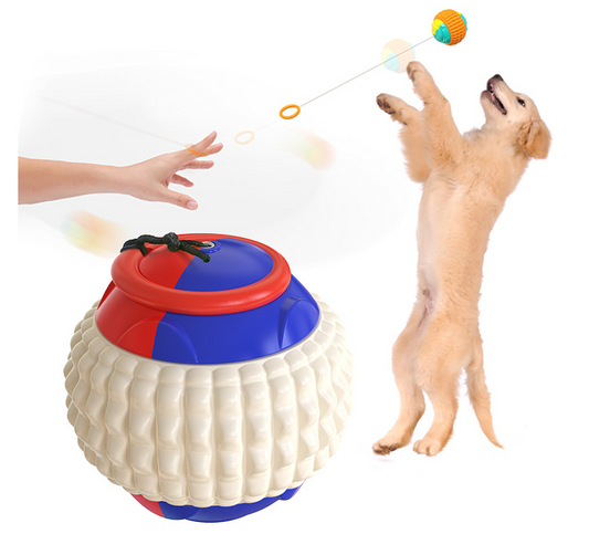 Teeth Resistant Chew Dog Training Ball